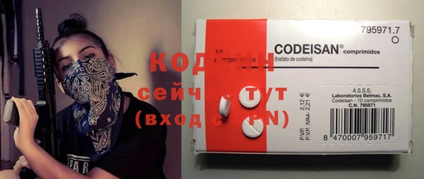 прущие грибы Куйбышев