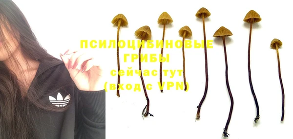 прущий лед Заволжье