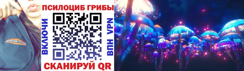 мориарти клад  Кадников  Псилоцибиновые грибы мухоморы 