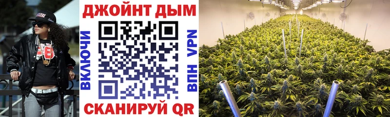 продажа наркотиков  Кадников  Бошки марихуана план 